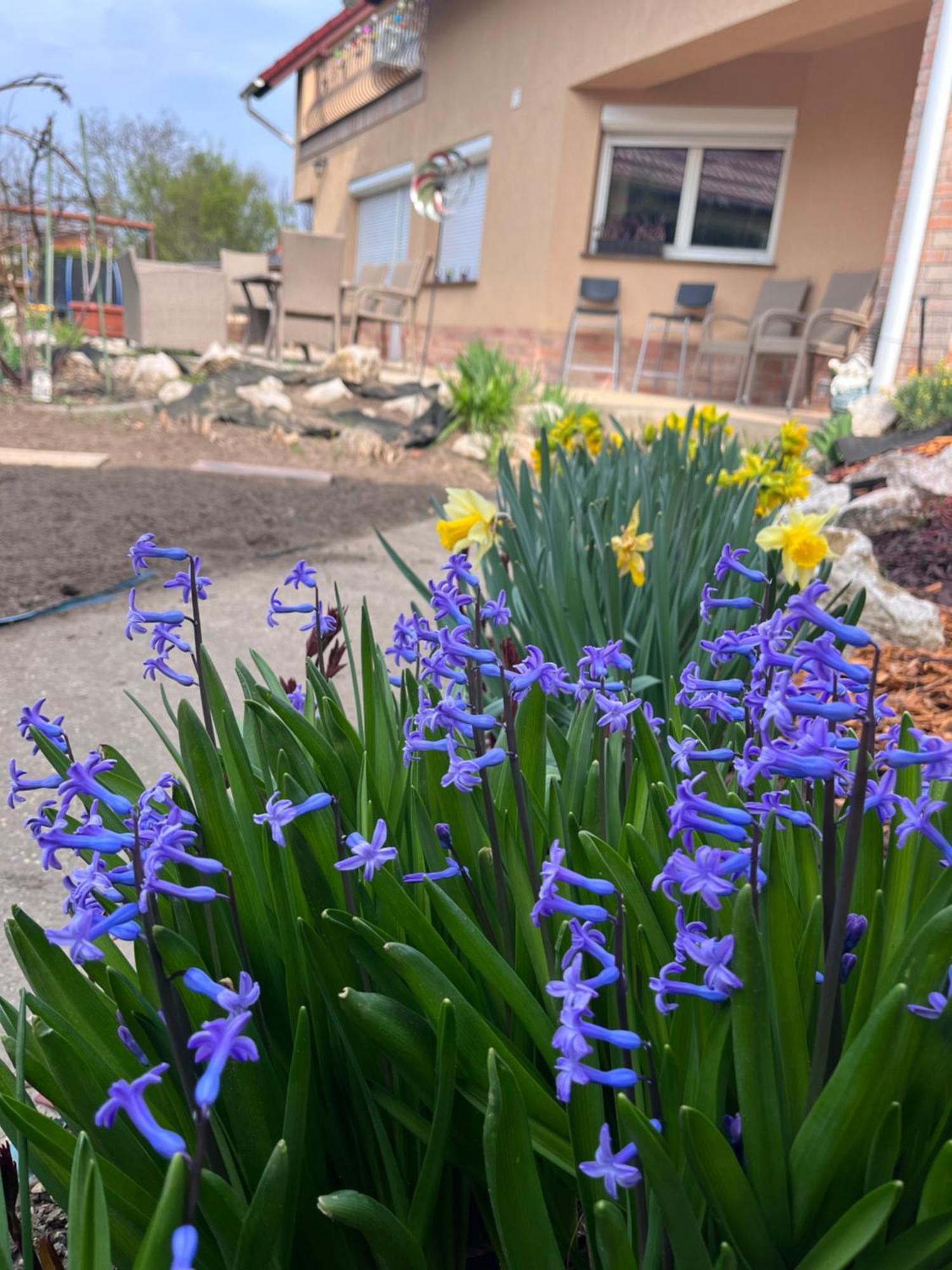 Garden Вилла